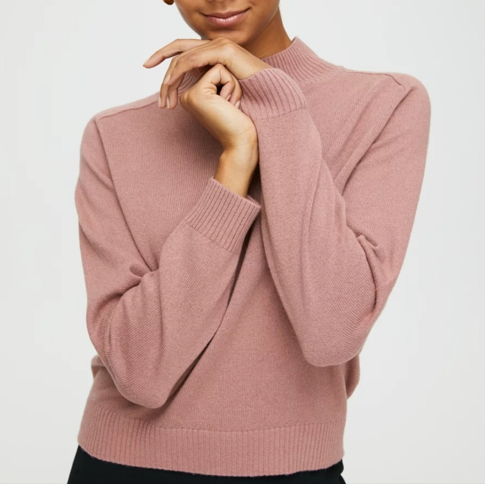 Babaton Perry Turtleneck Sweater